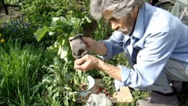 Строительная Мозголомка