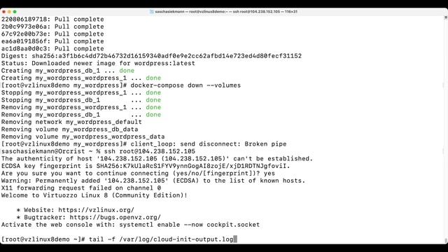 VzLinux 8 on Vultr смотреть онлайн
