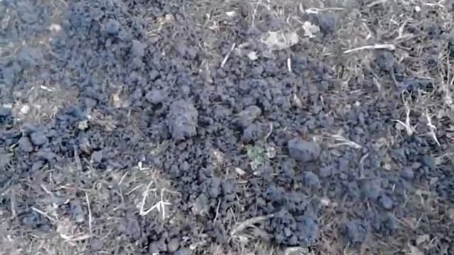 КОП ФЕВРАЛЬ 2014 №9 МОНЕТЫ ПУГОВИЦЫ КОМРАД смотреть онлайн