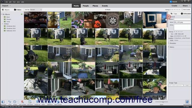 Learn How to Assign Digital Notes in Adobe Photoshop Elements 2022: A Training Tutorial смотреть онлайн