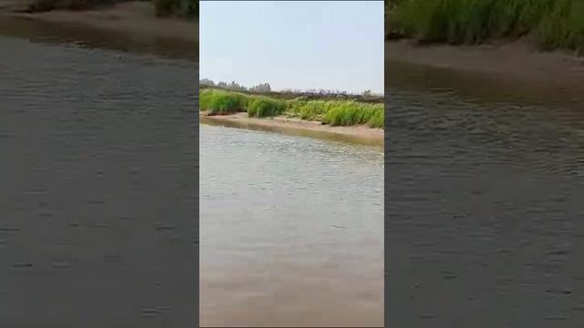 Пожар от Пелымского тумана вниз по реке Пелым смотреть онлайн