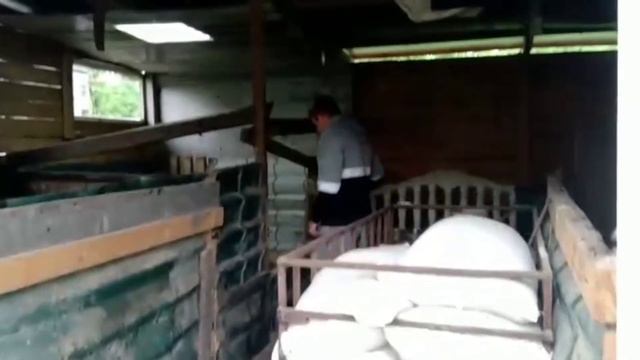 что лучше пурина или вита-лайн? вес пьетренов в2 месяца на пурине и на вита-лайн,дюрок чистокровный смотреть онлайн