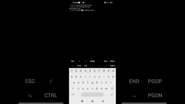 Python Hello World Program in Different Ways on Android Phone / Termux смотреть онлайн