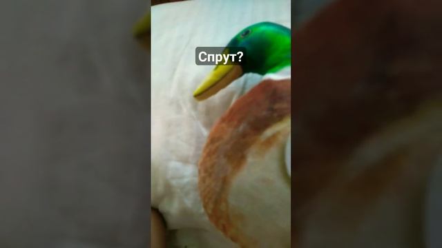 гигантский спрут? лада седан #мем #мемы #тимоти #ладаседан #гиганскийспрут #утки смотреть онлайн