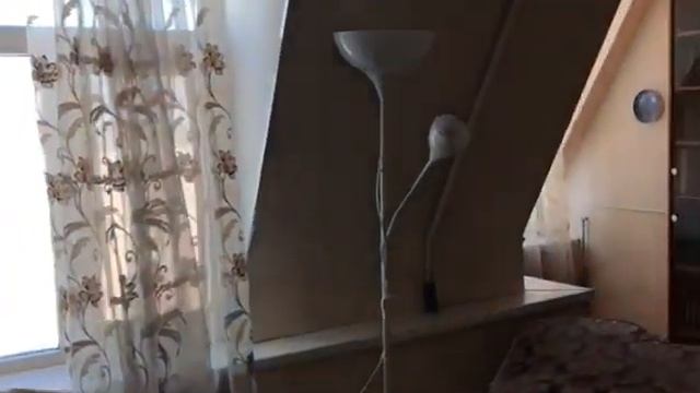 VID 20220524 WA0001 смотреть онлайн