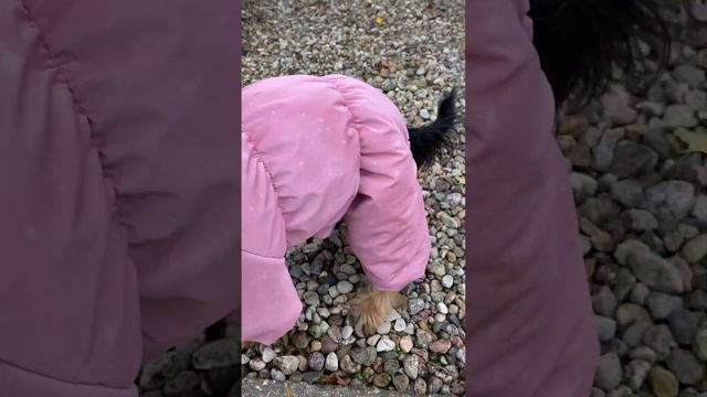 Комбинезон "Блеск". Jumpsuit "Shine" смотреть онлайн