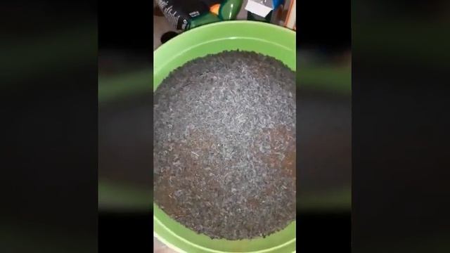 Как правильно заварить турецкий чай ? смотреть онлайн