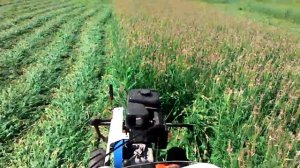 Мотоблок Нева МБ-2 с роторной косилкой Заря