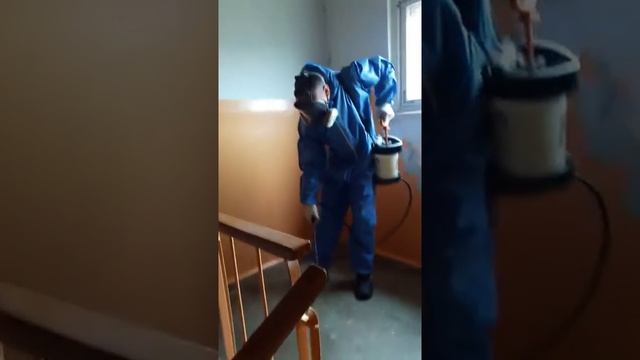 Обработка от блох в подъезде. смотреть онлайн