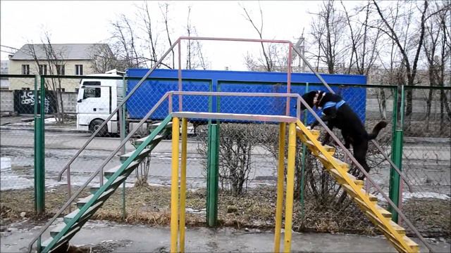 Макс, паркур. Замедленная смотреть онлайн