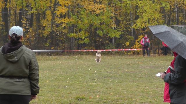 Кубок Москвы 2014 г. по ОКД и ЗКС.