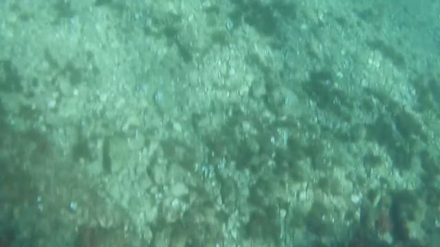 Session plongeon#1 LaCiotat Figuerolles смотреть онлайн