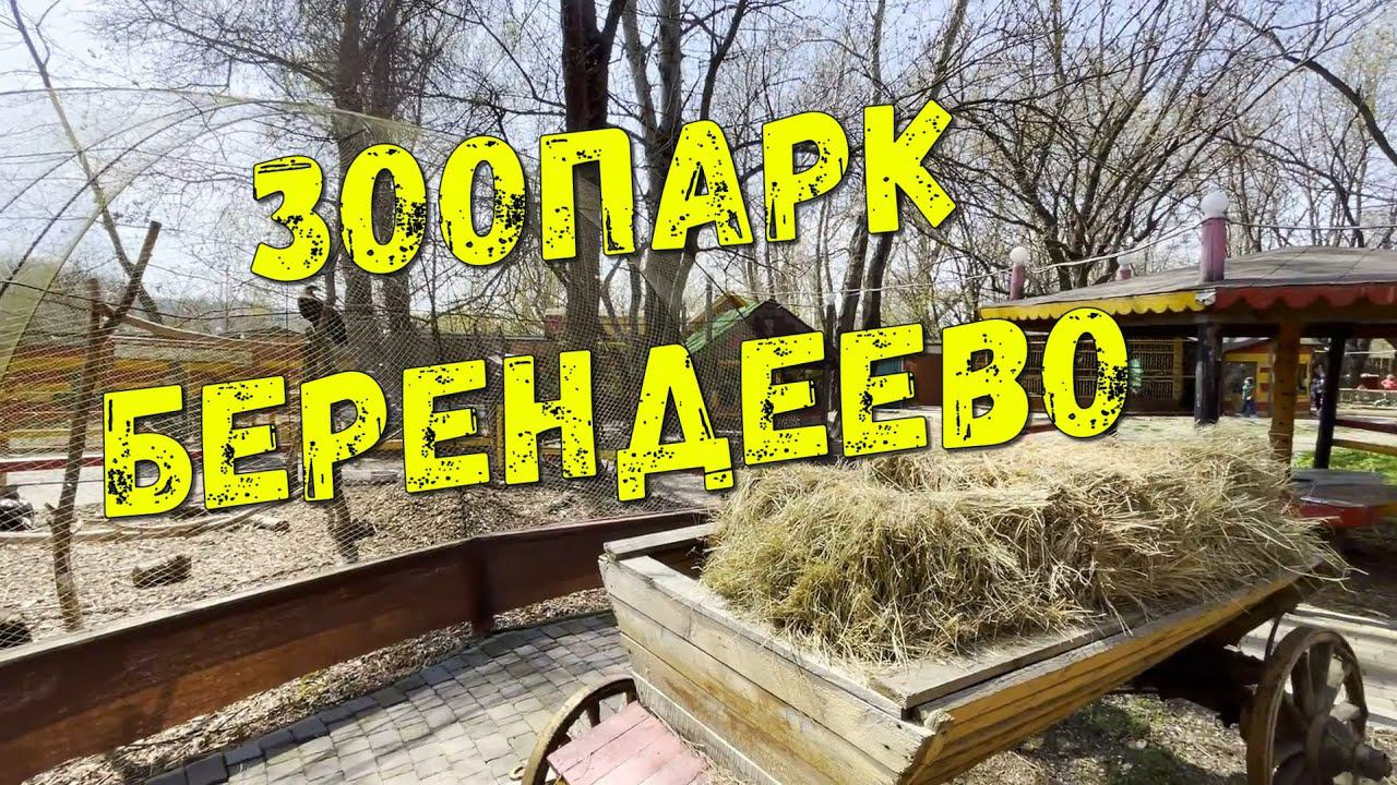 ЗООПАРК ПЯТИГОРСКА / БЕРЕНДЕЕВО / куда пойти с детьми? смотреть онлайн