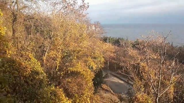 #Крым#Ялта#Моя прогулка до пан.Актёр и гостиница Ялта-Интурист.Декабрь 2019. смотреть онлайн