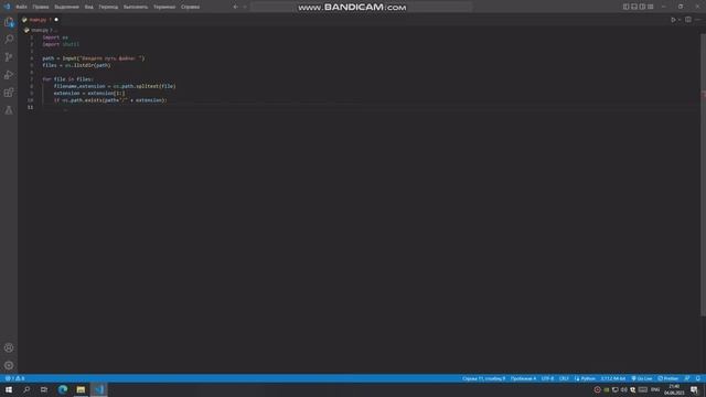 Органайзер файлов на Python. смотреть онлайн
