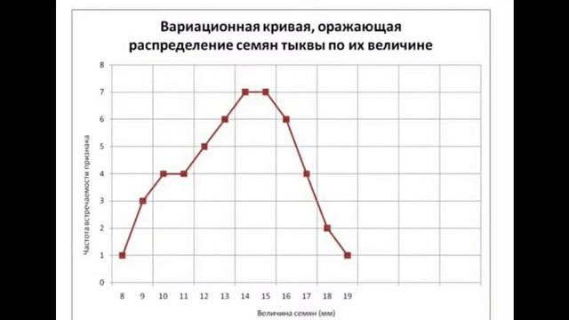 Лабораторная работа по модификационной изменчивости смотреть онлайн