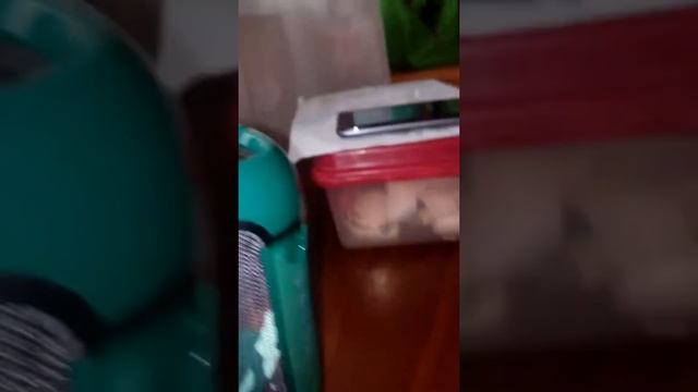 Баст тест смотреть онлайн