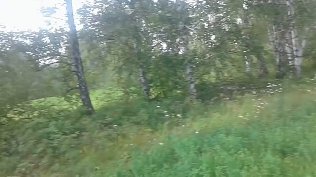 Багги на базе ГАЗ. Покатушки 31.07.2017г. смотреть онлайн