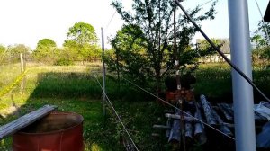 Шпалера из ПВХ трубы для винограда.