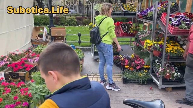 Жизнь в Суботице | Сербия | Жизнь в Сербии | Суботица | Суботица Лайф | города Сербии | Сербия 2023 смотреть онлайн