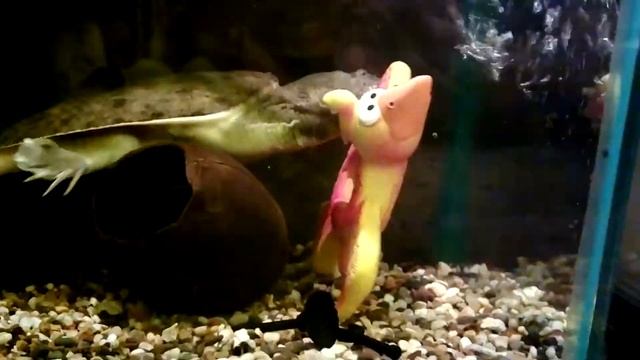 злобный трионикс смотреть онлайн