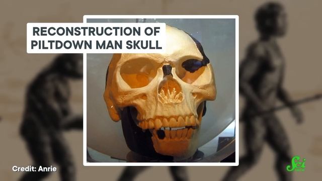 Anthropology’s Greatest Hoax смотреть онлайн