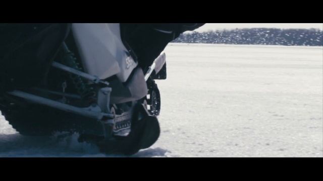 RM Vector 551i (commercial)