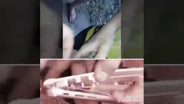 iPhone 6-s в хлам смотреть онлайн