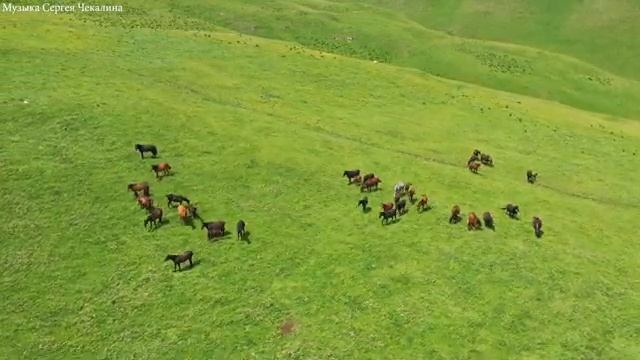 Самая красивая мелодия в мире! Эту музыку можно слушать вечно! Музыка Сергей Чекалин смотреть онлайн