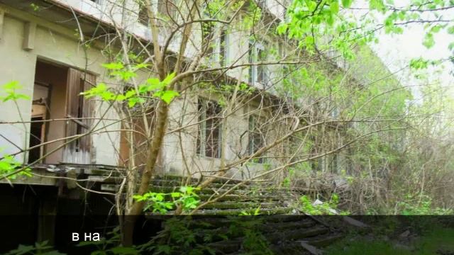 Психбольница в Адыгее смотреть онлайн