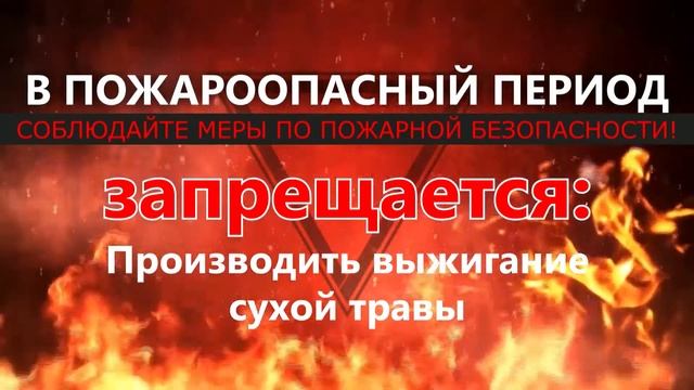ПРОТИВОПОЖАРНЫЙ ПЕРИОД смотреть онлайн