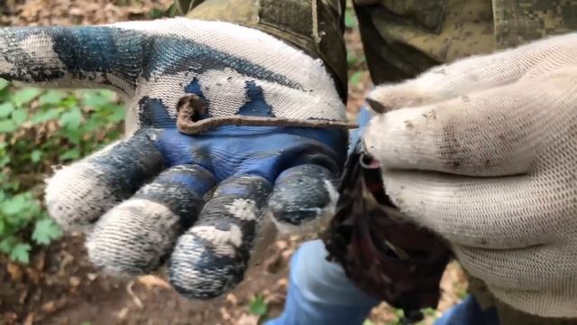 Учимся искать монеты и клад. Как найти клад? Урок№4 Skilur смотреть онлайн