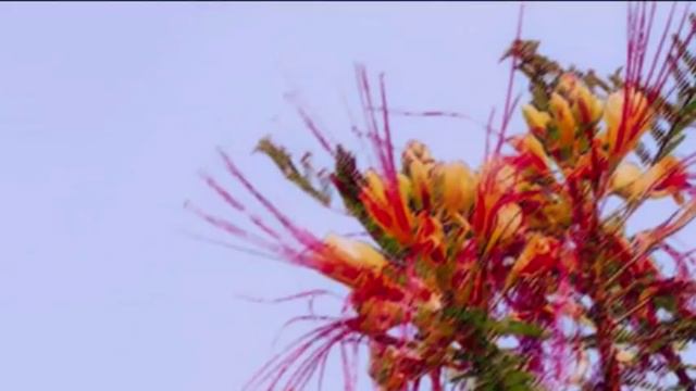 Eva Cassidy - I Wandered By A Brookside