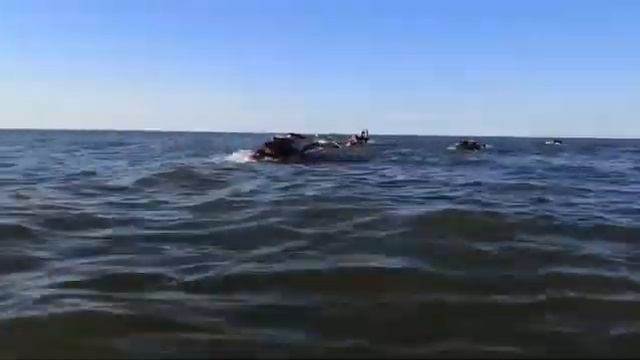 Гонки на SUP-бордах на Каспийском море