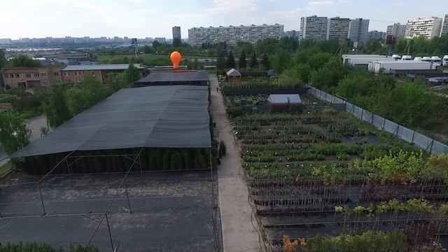 Садовый центр