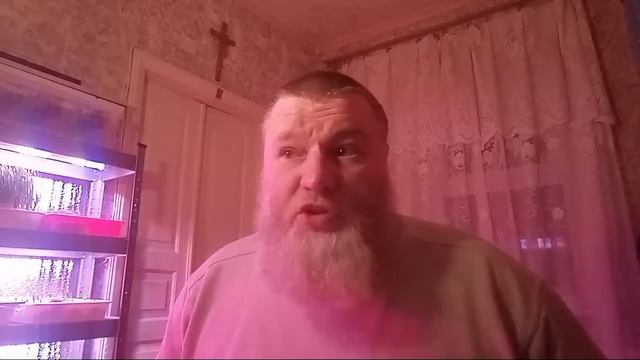 Субботний Стримчик смотреть онлайн