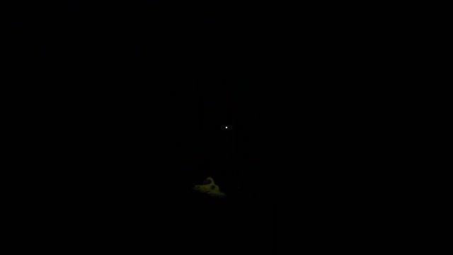 I GOT TO RECORD FOOTAGE FOR JIM!!! | WESTGROVE (INDIE HORROR GAME смотреть онлайн
