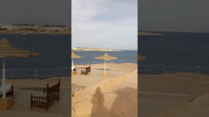 Grand Halomy Resort (Шарм-ель-Шейх)