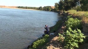 20200826г.Волжский рыбалка на Ахтубе