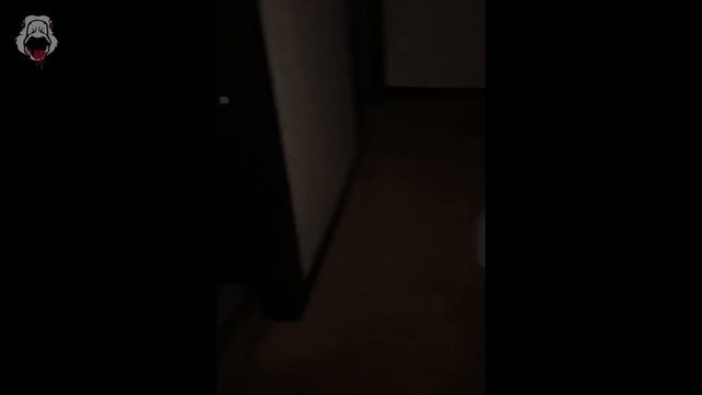 Top 10 Scary Videos They Can't Show on TV смотреть онлайн