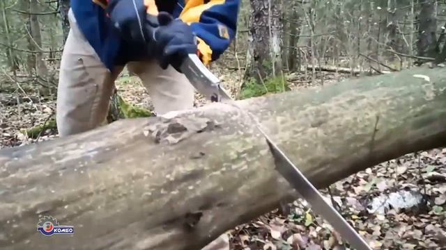 Складная ручная походная пила DaeGun Hi-Power 360. Быстрая заготовка дров, капа и сувеля. ТЕСТ смотреть онлайн