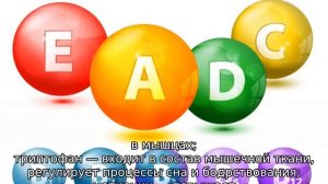 Чиктоник для цыплят: инструкция по применению