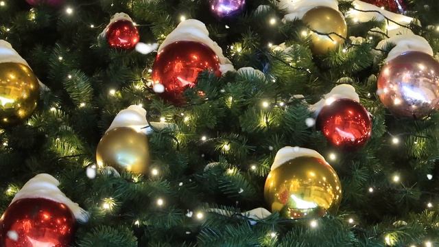 #СашаКира. Москва, Предновогодняя прогулка. Метро Красные ворота. смотреть онлайн