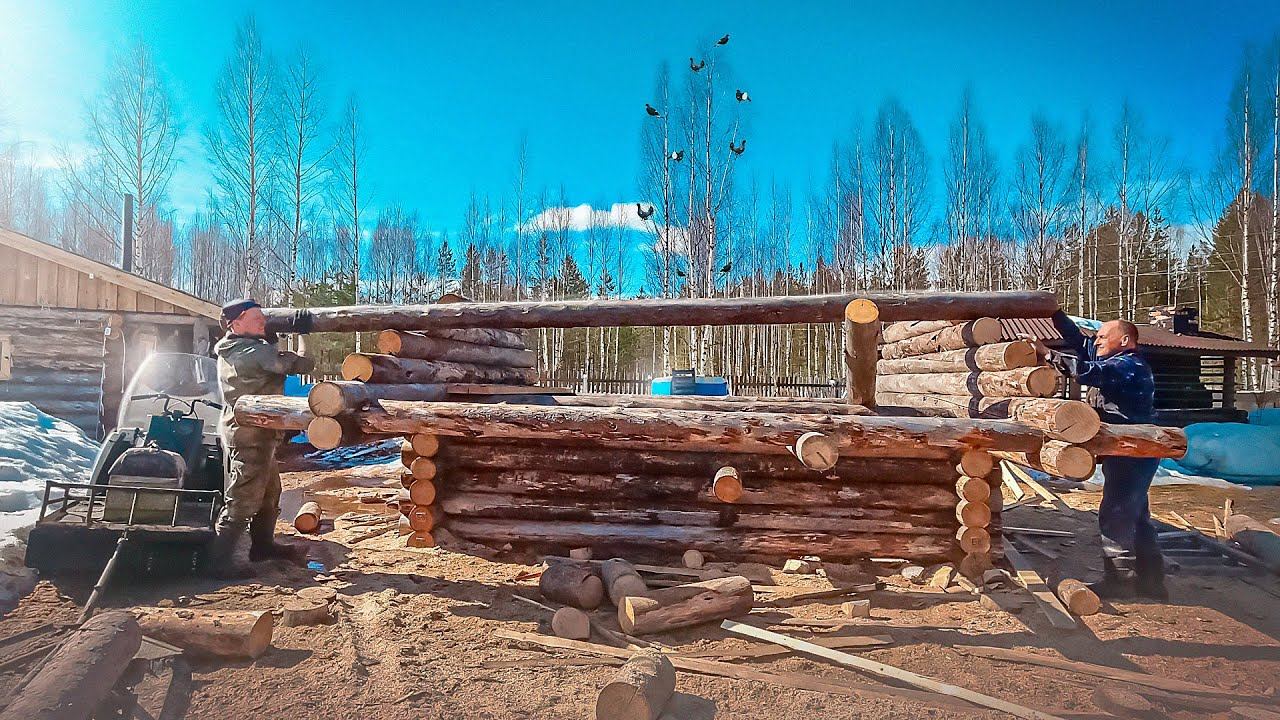 СТРОЙКА НОВОЙ ИЗБЫ. СТРОИМ С ОТЦОМ НОВОЕ ЗИМОВЬЁ. СРУБ ИЗ СУХАРНИКА. ТАЁЖНАЯ ИЗБУШКА. ЛЕСНАЯ ИЗБА. смотреть онлайн