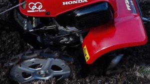 Honda FF 300   Rotary cultivator  (Jordfräs)