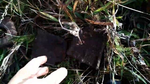 КОП МЕТАЛЛА.ТОРФЯНИКИ.ОБОССАНОЕ ЖЕЛЕЗО. смотреть онлайн