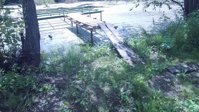 Первозданная природа.  Забытая река.