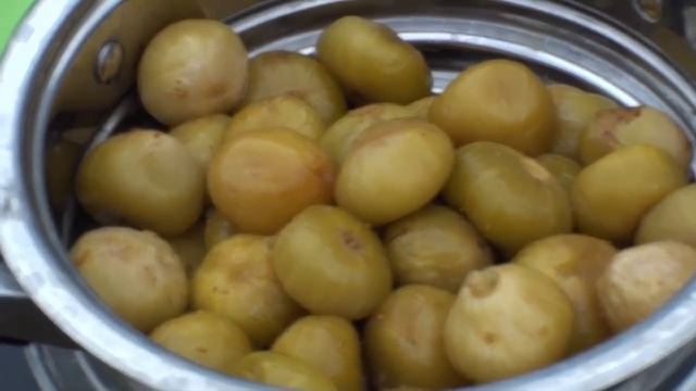 Домашние Животные и Их Уход