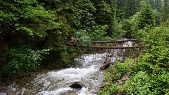 Mihail Andricu (1895-1974): Octet in F major op. 8 (1928) смотреть онлайн