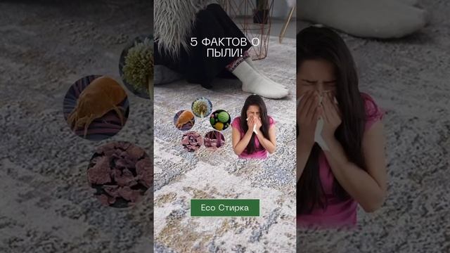 Эко стирка ковров смотреть онлайн